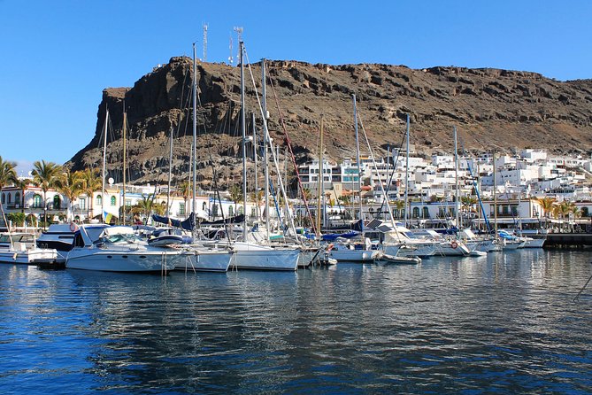 3h Boat Trip Snorkeling in Puerto De Mogan - Customer Recommendations