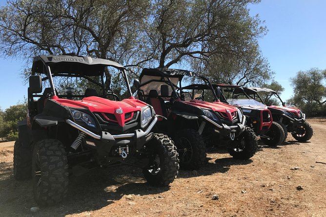 3h Buggy Route Through the Dehesa Extremeña - Tour Details