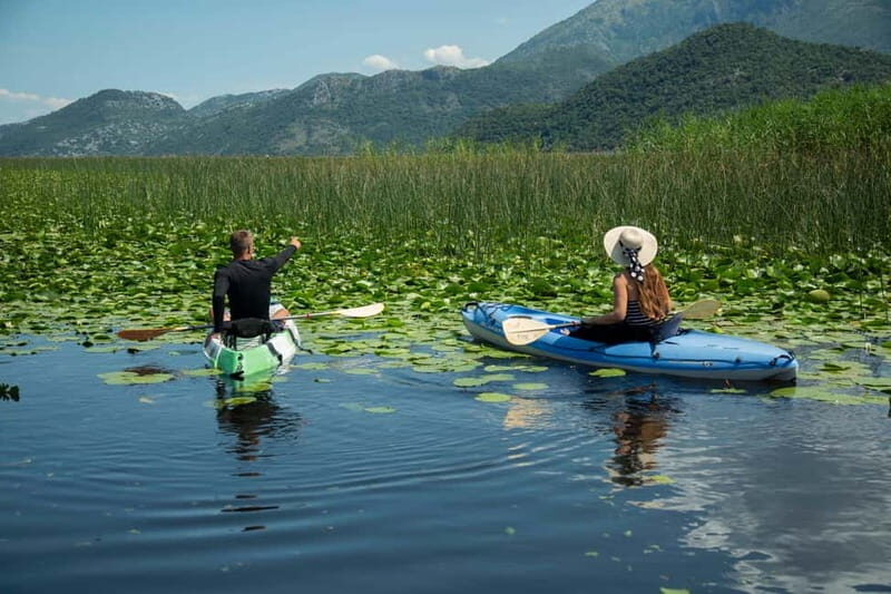 3h Guided Kayaking Adventure on Skadar Lake to hidden spots! - Why a Kayaking Tour on Skadar Lake Is Worth Considering