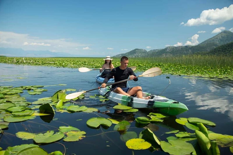 3h Guided Kayaking Adventure on Skadar Lake to hidden spots! - Authentic Experiences & Genuine Value