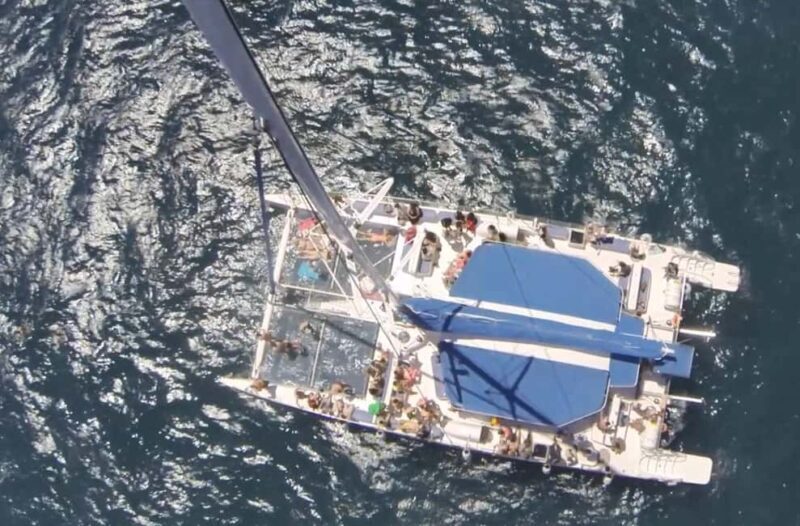 3h Sailing & Swim & Tapas: Gastronomic Esperience Barcelona - Frequently Asked Questions