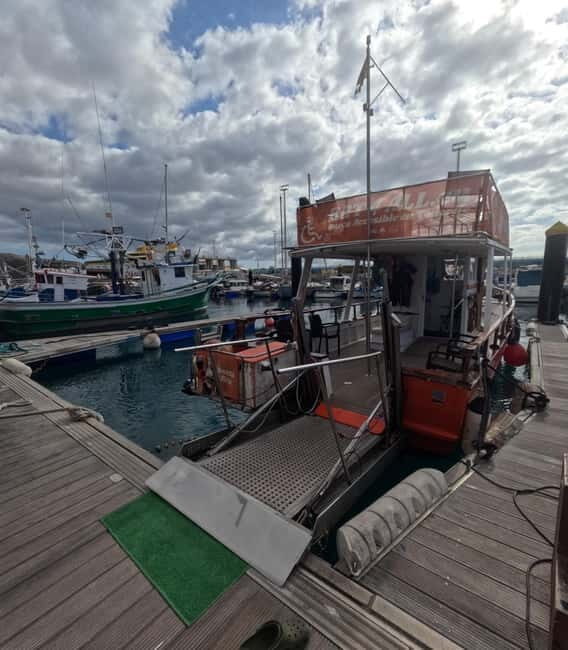 3H Shared Barrier-Free Cruise with Turtles Dolphins & Whales - Good To Know