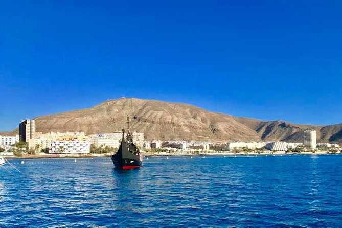 3h Viking Cruise With Drinks, Live Show and Swimming Time - Requirements and Conditions