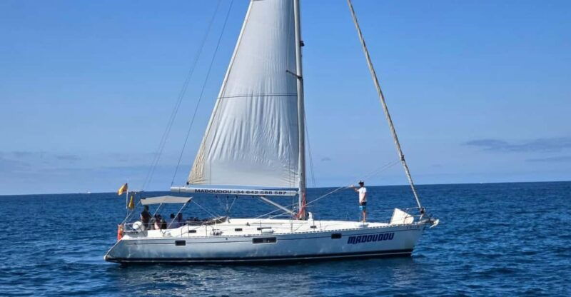 3h Whale Watching Share Tour Beneteau Oceanis 440 - Itinerary Details