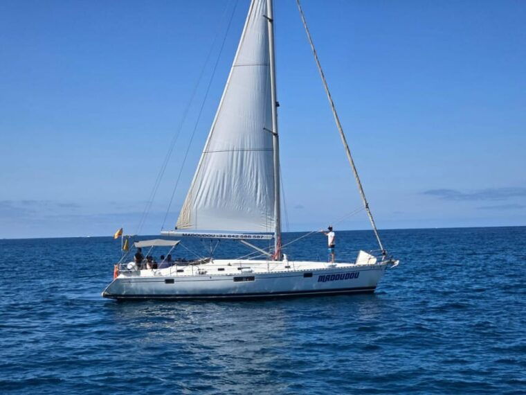 3h Whale Watching Share Tour Beneteau Oceanis 440 - Boat Information