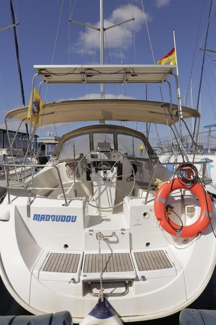 3h Whale Watching Share Tour Beneteau Oceanis 440 - Customer Reviews