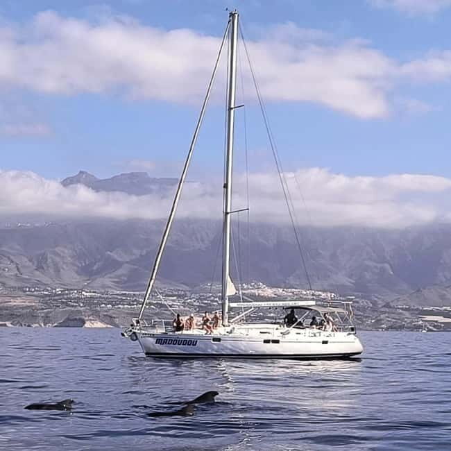 3h Whale Watching Share Tour Beneteau Oceanis 440 - Good To Know