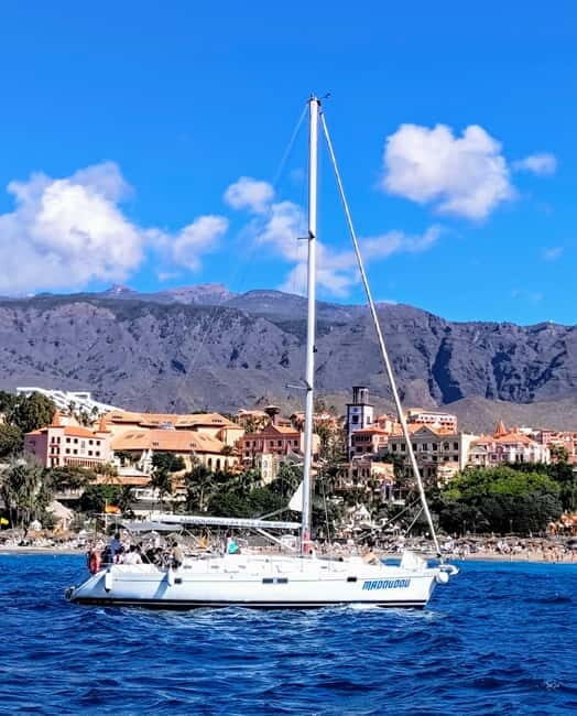 3h Whale Watching Share Tour Beneteau Oceanis 440 - The Experience in Detail