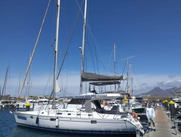 3h Whale Watching Share Tour Beneteau Oceanis 440 - Participant Capacity
