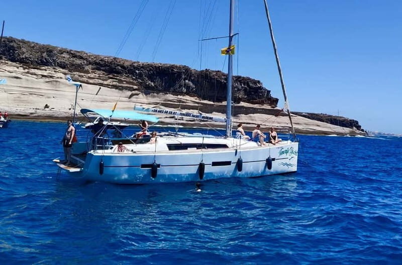 3h Whale watching Share Tour Costa Adeje Lina7 Mizendoha - The Practicalities: Logistics & Tips