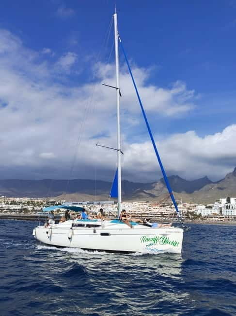 3h Whale watching Share Tour Costa Adeje Lina7 Mizendoha - Final Thoughts: Is This Tour Right for You?