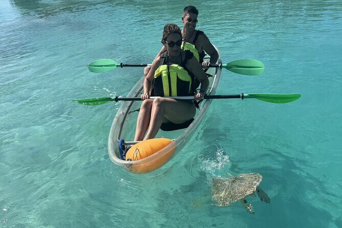 3hr Clear Kayak Tour of Mangroves, Marine Life and Iguanas - Final Thoughts