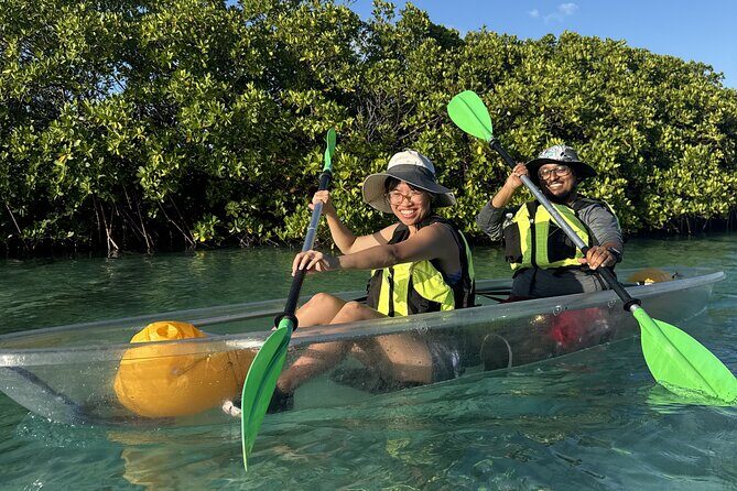 3hr Clear Kayak Tour of Mangroves, Marine Life and Iguanas - FAQs