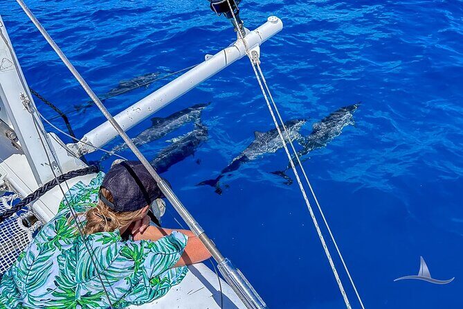 3hr Luxury Private Sailing Catamaran in Waikiki for 1 to 6 People - Final Thoughts