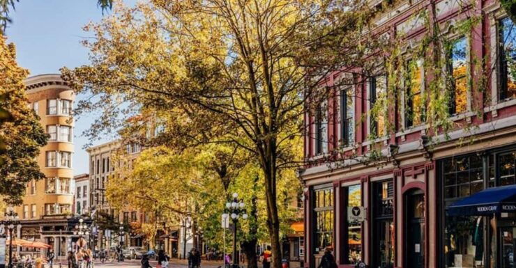 3hr Private Sightseeing Tour Vancouver (from Vancouver City) - Good To Know
