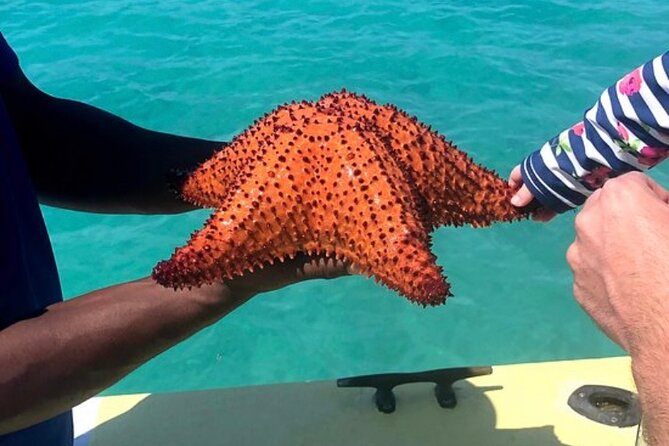 3HR Seaside Scavenger Hunt ( Hunt for Conch and Make Ceviche) - Scavenger Hunt Experience by Boat