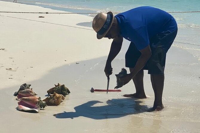 3HR Seaside Scavenger Hunt ( Hunt for Conch and Make Ceviche) - Searching for Seashells, Conch, and Muscles