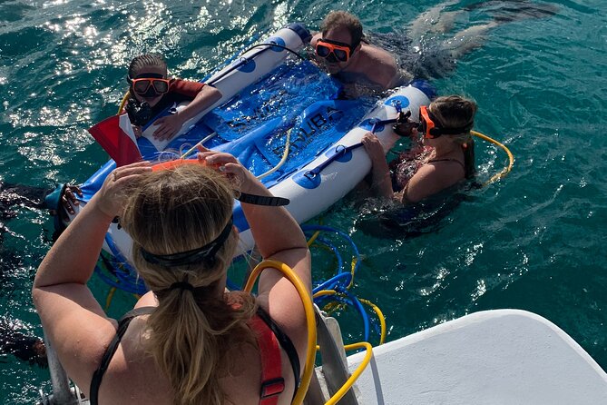 3HR Snuba, Shipwreck and Iguana Island Tour - Weather Dependency and Alternative Options