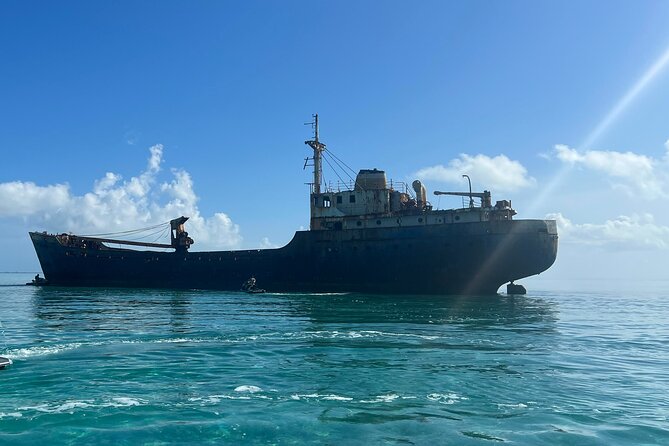 3HR Snuba, Shipwreck and Iguana Island Tour - Reviews and Overall Rating