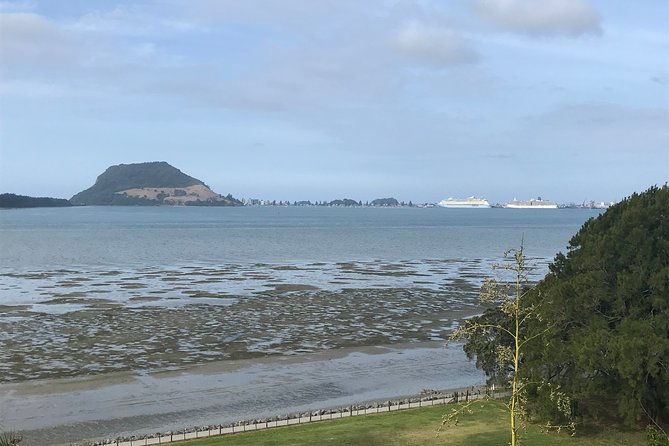 3hr Tauranga Sun-downer History Tour COMPLIMENTARY Wine or Beer - Common Questions
