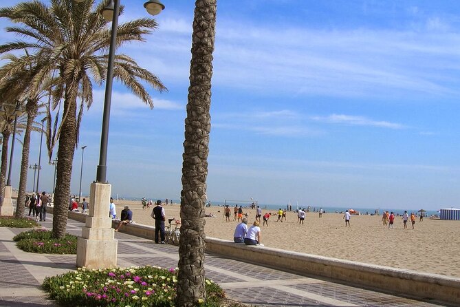 3hs-Hour Guided City Sightseeing and Beaches Bike Private Tour - Common Questions