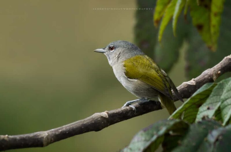 3in1: Los Haitises N. Park + Waterfalls + Montaña Redonda - The Reality: What Do the Reviews Say?