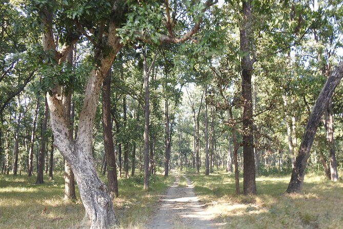 3Nights 4Days Bardiya Tiger Tracking Tour on Foot - All Inclusive - Who Should Consider This Tour?