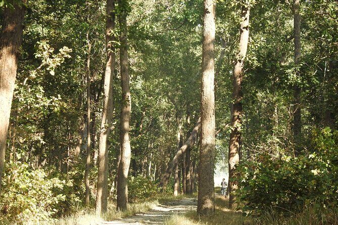 3Nights 4Days Bardiya Tiger Tracking Tour on Foot - All Inclusive - Practical Details & Considerations