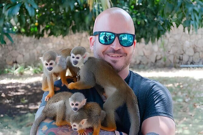 3X1 Adventure Waterfalls, Monkeys & Buggies In Puerto Plata - An Up-Cclose Look at the Adventure