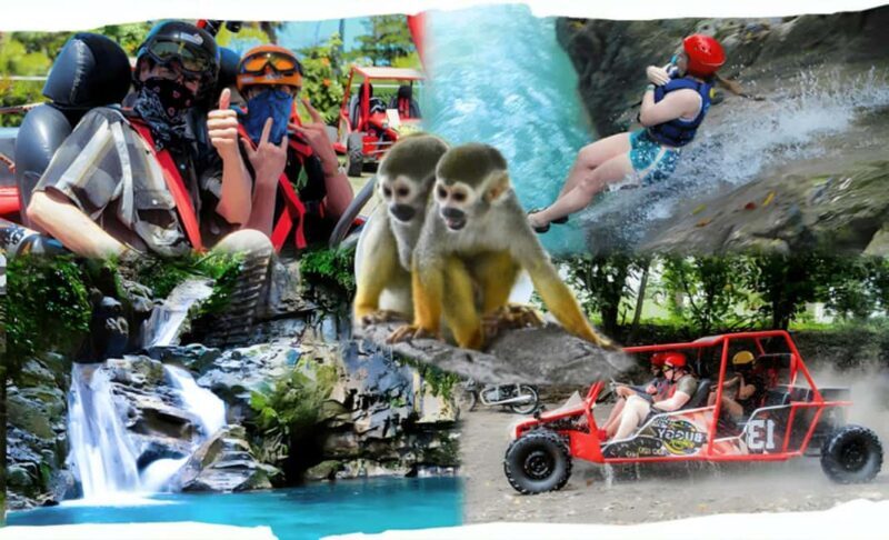 3x1: Monkeyland Damajagua Falls & Buggy Tour Puerto plata - Practical Details and What to Know Before Booking