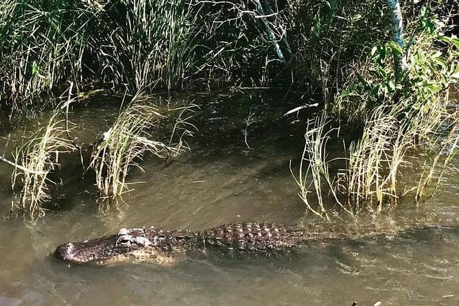 4 - 5 Hours Everglades Tour From Miami - Common Questions