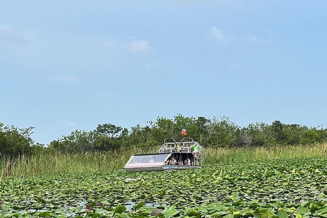 4 - 5 Hours Everglades Tour From Miami - The Sum Up