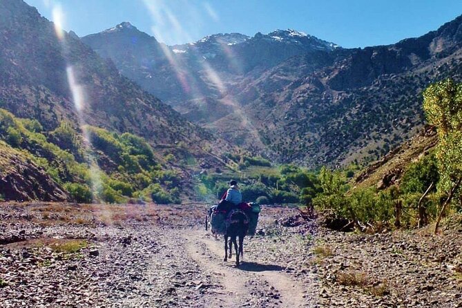 4 Atlas Mountains Valleys and Berber Villages Full-Day Trip - Cancellation Policy