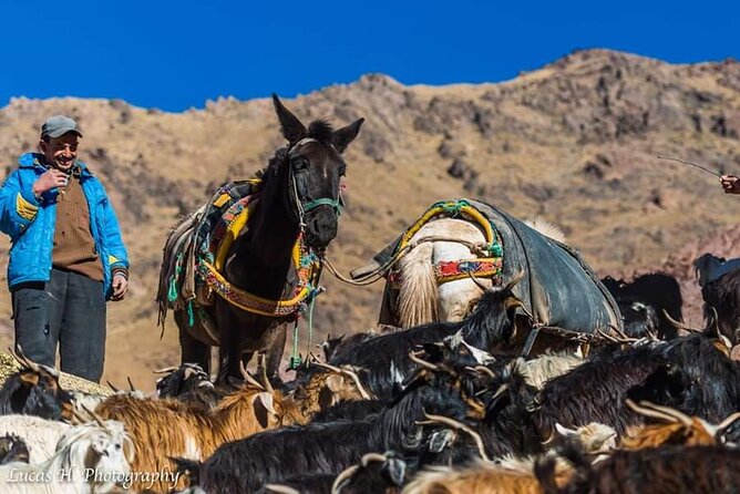 4 Atlas Mountains Valleys and Berber Villages Full-Day Trip - Booking Details