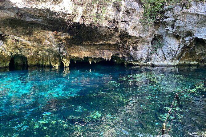 4 best spots in Cancún 1day! CHICHÉN ITZÁ, 2CENOTES, PINK LAKE - An In-Depth Look at the Cancún Day Tour