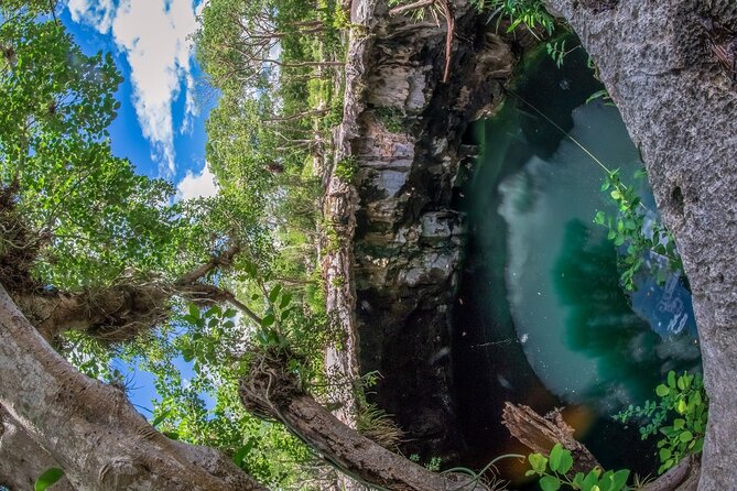 4 Cenotes Full Day Tour From Merida - Cenote XCanche: A Dive Into History