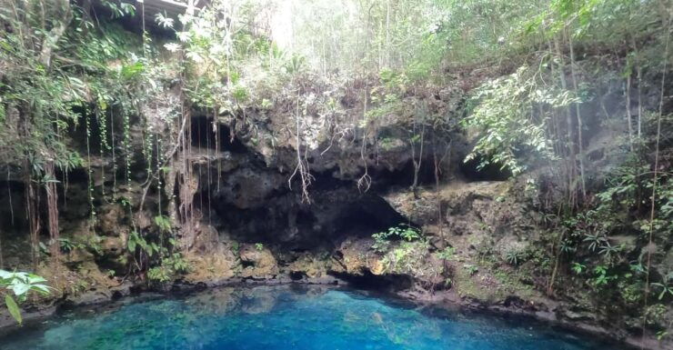 4 Cenotes Private Tour With Snorkeling - Experience Highlights