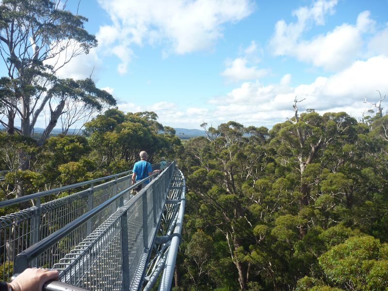 4 day 3 night Margaret River and Albany Tour - Day 1: Mount Clarence and Albany