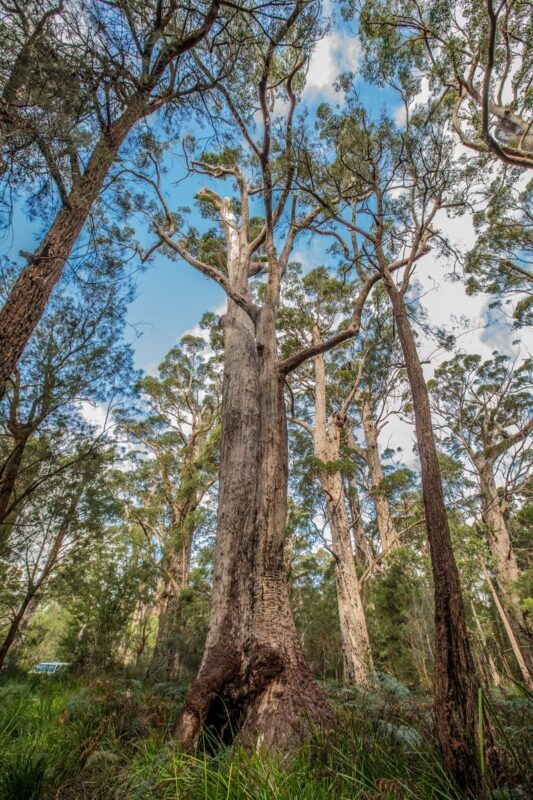 4 day 3 night Margaret River and Albany Tour - What the hotels, meals and coach add