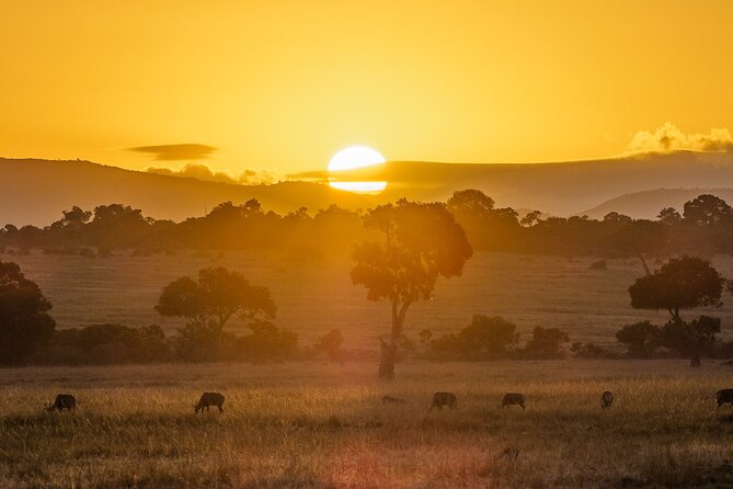 4-Day 3-Night Masai Mara and Nakuru National Park Guided Safari - Pickup and Drop-off Information
