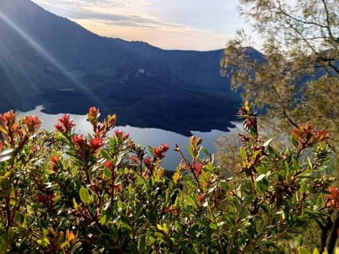 4 Day / 3 Night Summit Full Mount Rinjani - Trekking Details