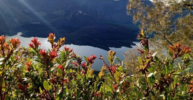4 Day / 3 Night Summit Full Mount Rinjani - Important Information