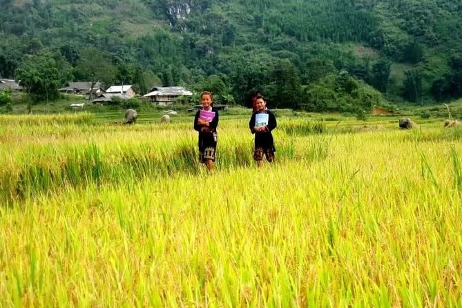 4 Day and 3 Night Trek Tour With Overnight Train in Hanoi - The Sum Up
