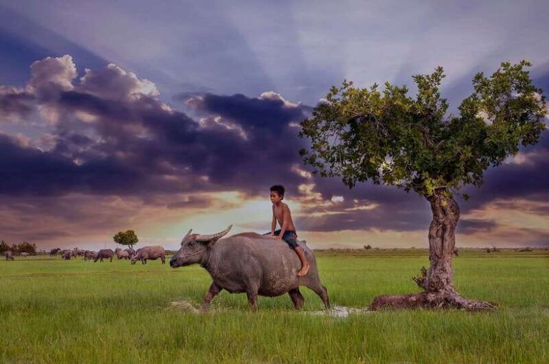 4-Day Angkor Wat, Kulen Mount, Koh Ker Group & Beng Mealea - Who Would Love This Tour?