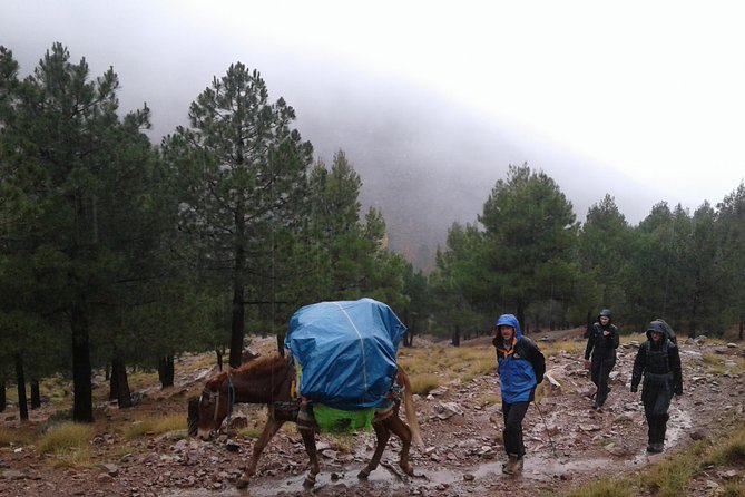 4-Day Atlas Mountains Family Trek - Traveler Reviews