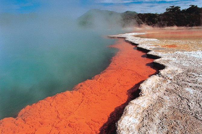 4-Day Auckland to Wellington via Rotorua Tour - Contact Information