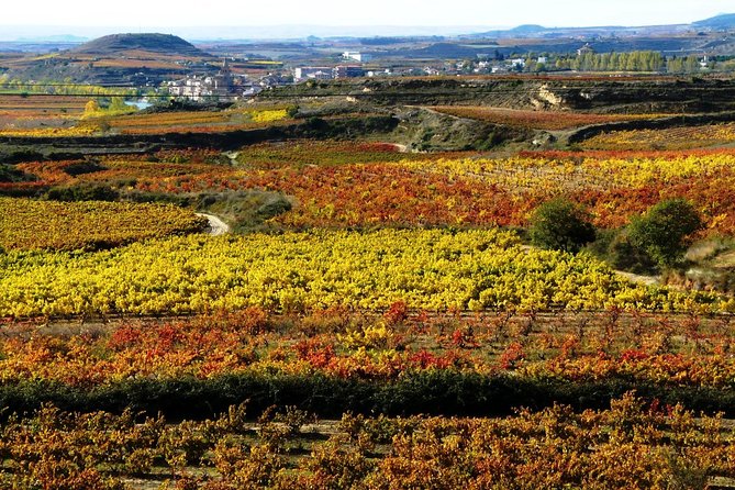 4 Day Basque Country Tour: San Sebastian, Biarritz, Bilbao and Rioja - The Sum Up