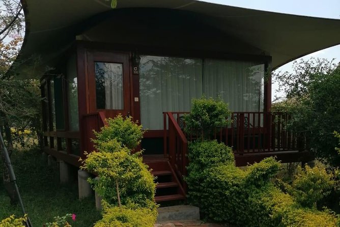 4-Day Best Maasai Mara & Lake Nakuru Safari (ECONOMY) - Reviews