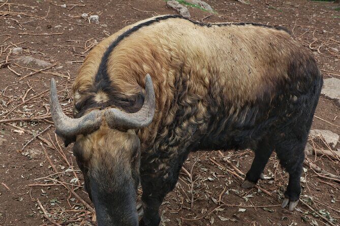 4 Day Bhutan at Glance - Summary of the Value Proposition