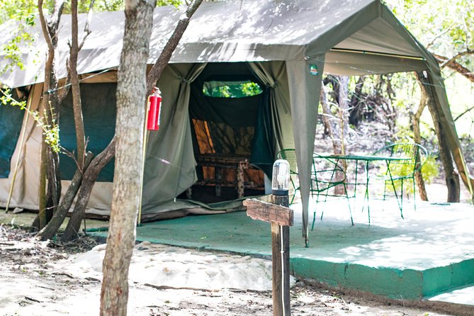 4 Day Budget Kruger National Park Safari - Safari Overview